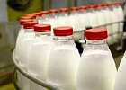 Рост продуктивности молочного стада в Томской области за 8 месяцев превысил 6% Рост продуктивности молочного стада в Томской области за 8 месяцев превысил 6%